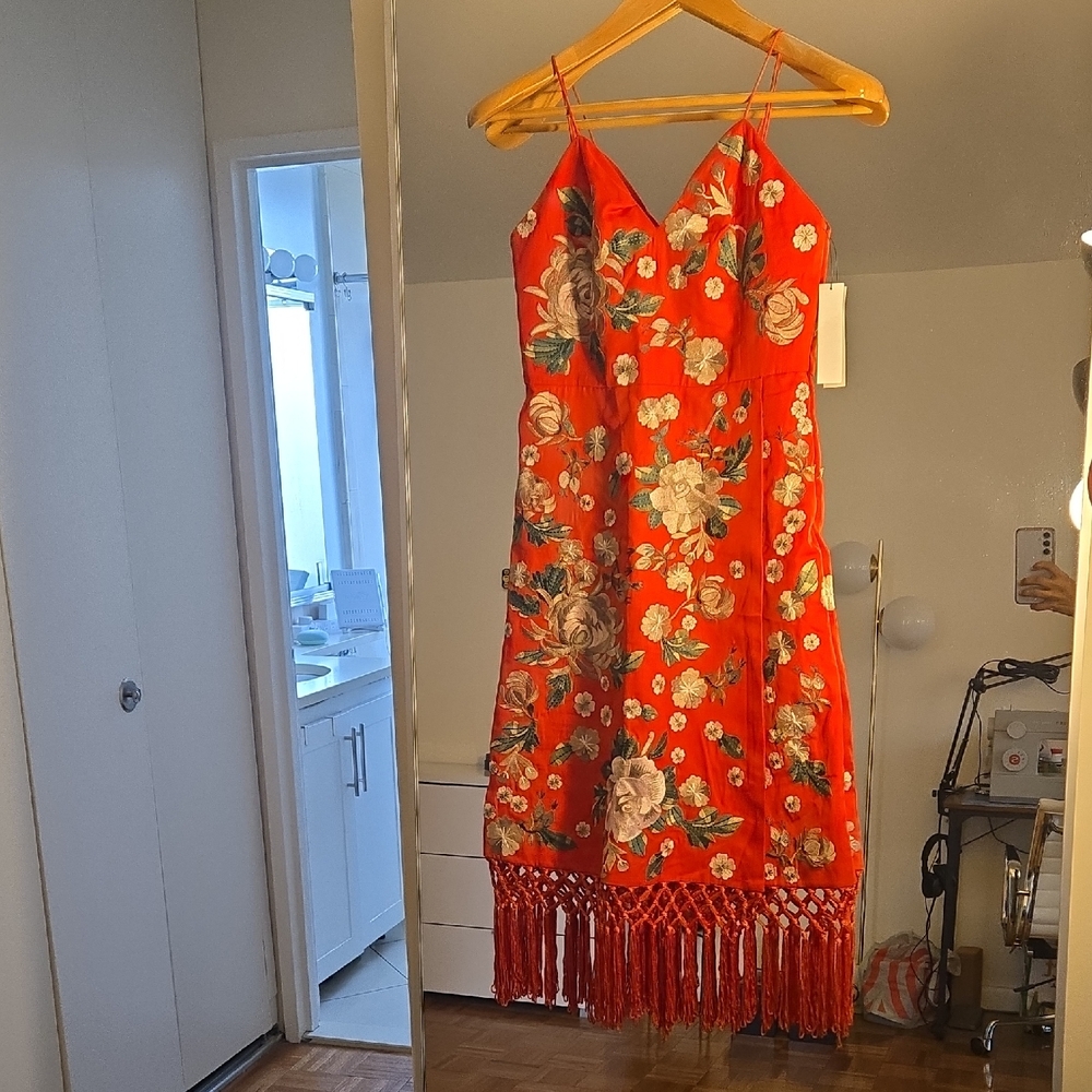 Moving Sale: NWT Gorgeous Alice + Olivia embroidered red dress with fringe